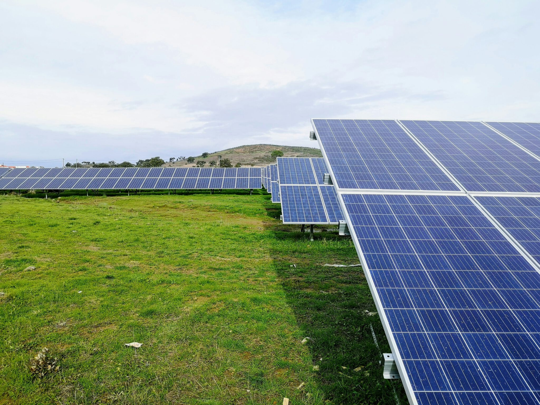 Image of solar farm